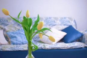 Gracious apartment in the heart of Alghero